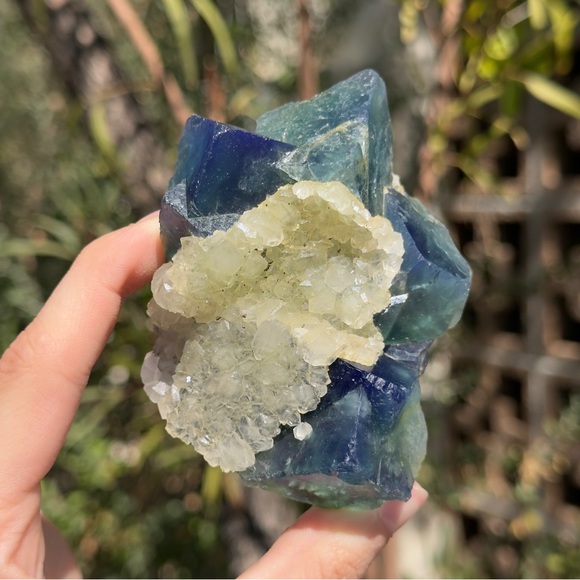 Color Changing Flourite with Calcite 🩵🥝🩵 CCF1 - Picture 3 of 6